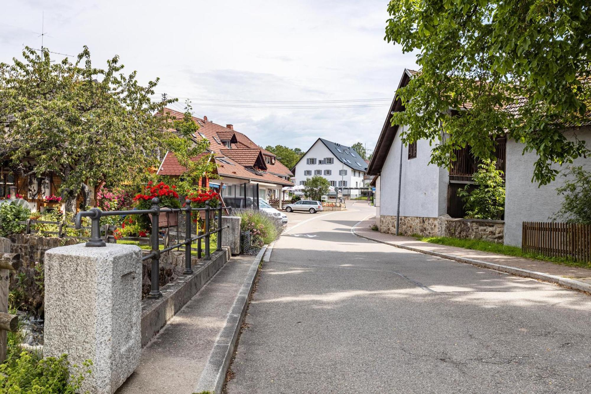 Ferienhaus Muelhaupt Ühlingen-Birkendorf Eksteriør billede
